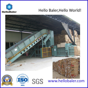 Cost Effective Full Automatic Recycling Baler for Paper Industry